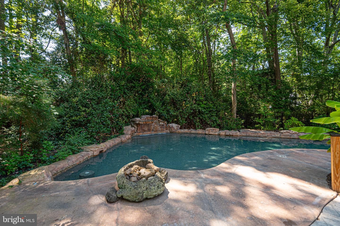 12529 Deer Point Circle photo 26