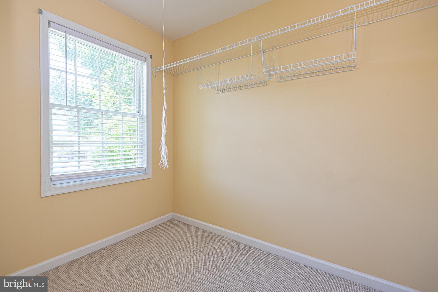 12529 Deer Point Circle photo 40