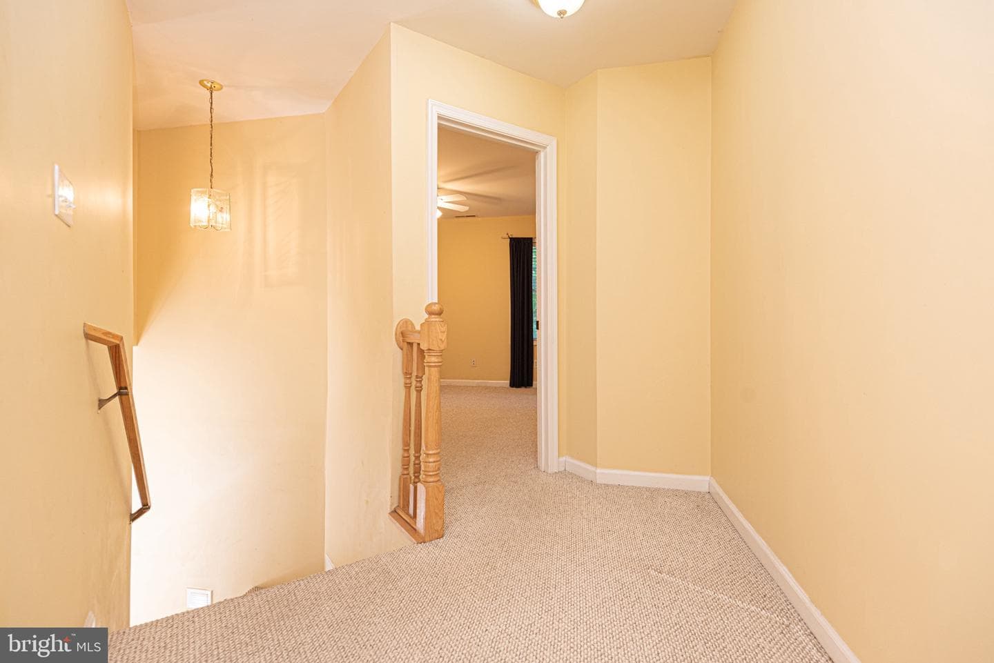 12529 Deer Point Circle photo 55