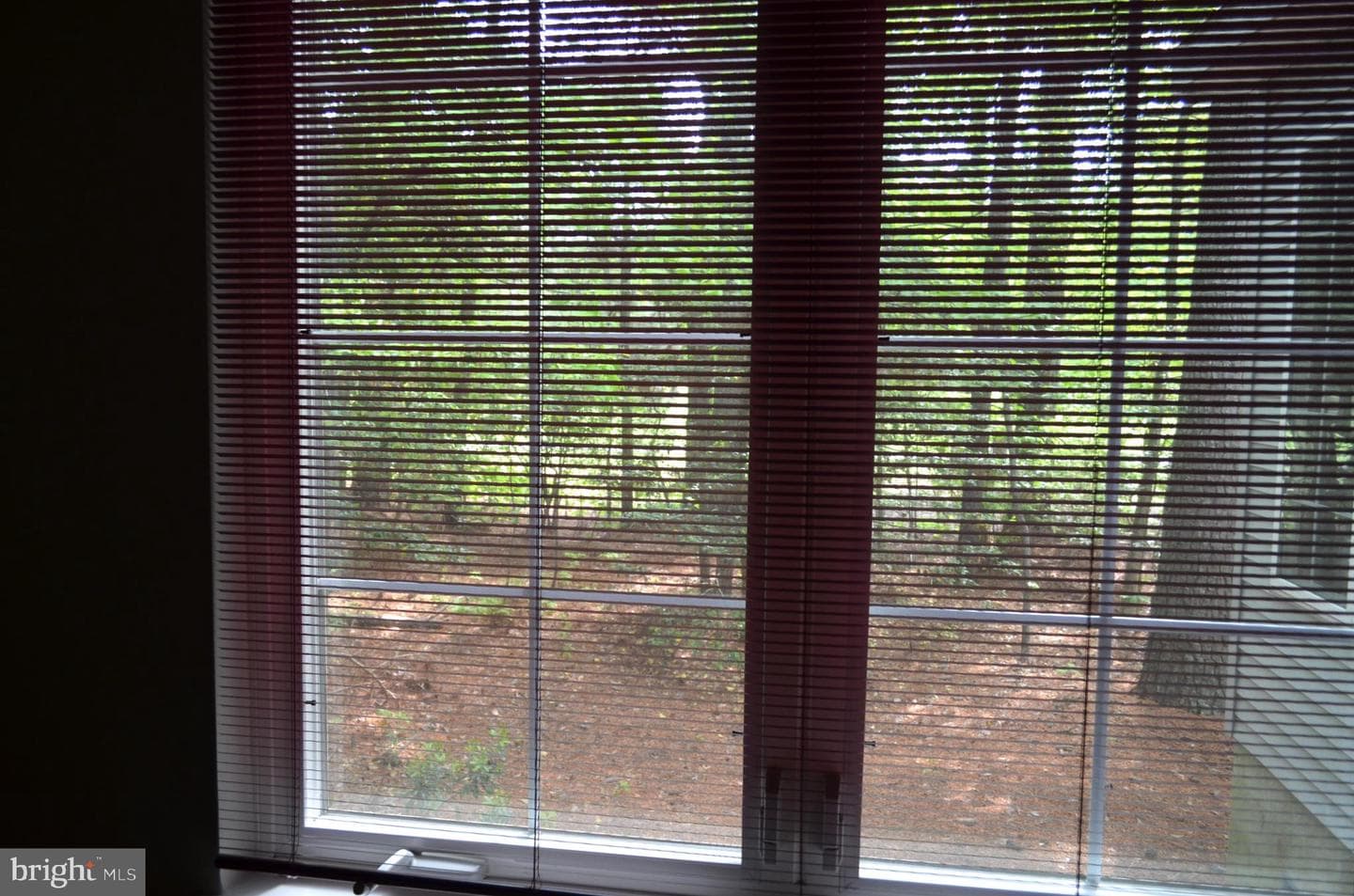 11501 Quillin Way photo 37