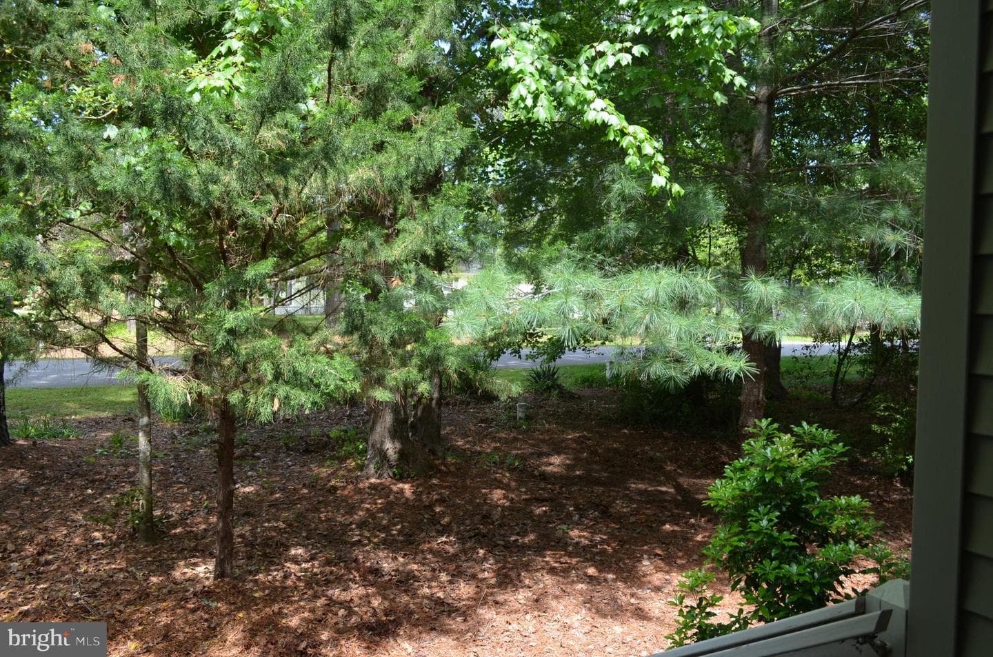 11501 Quillin Way photo 44