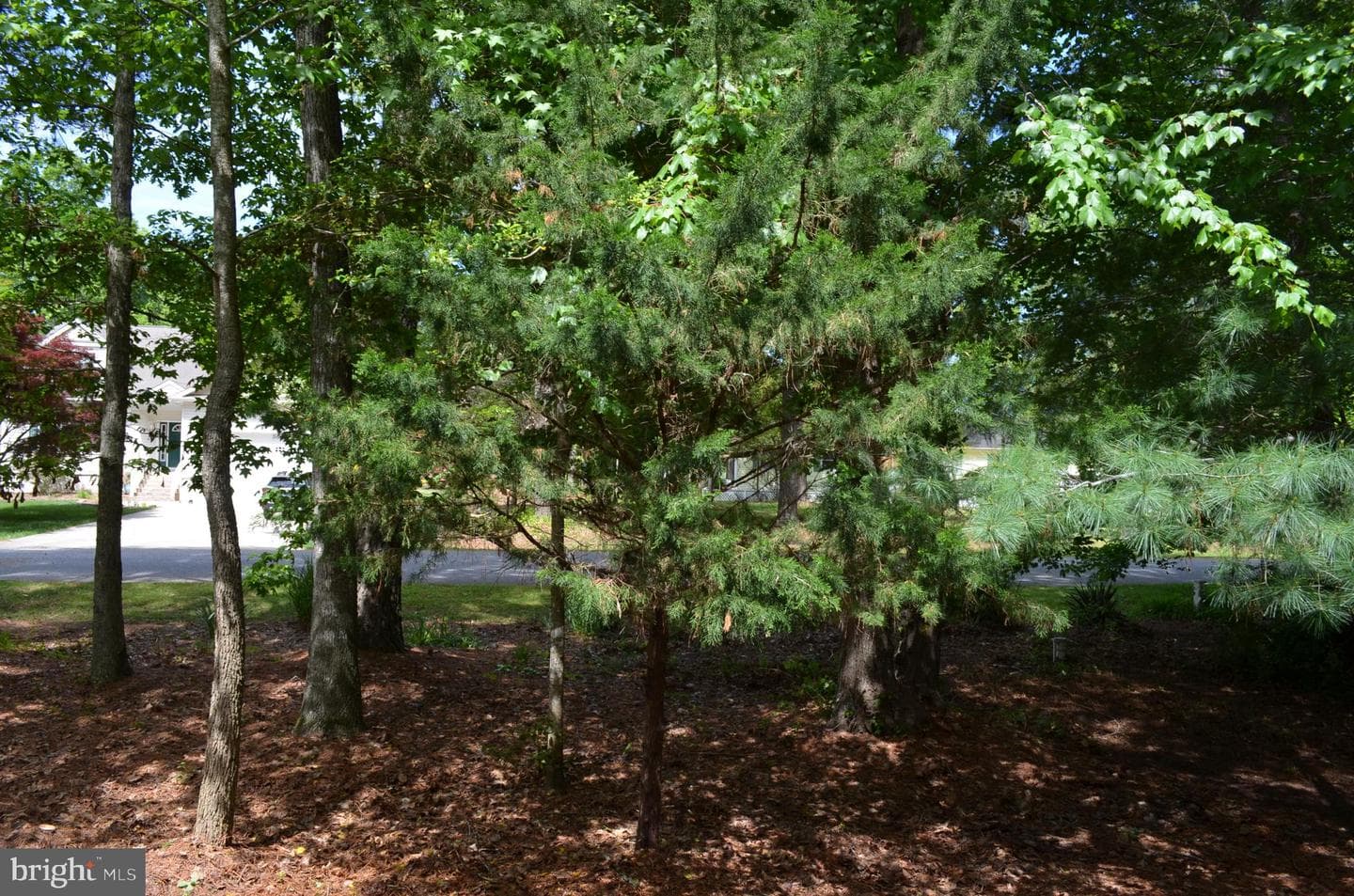 11501 Quillin Way photo 45