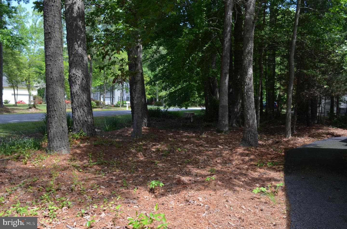 11501 Quillin Way photo 46