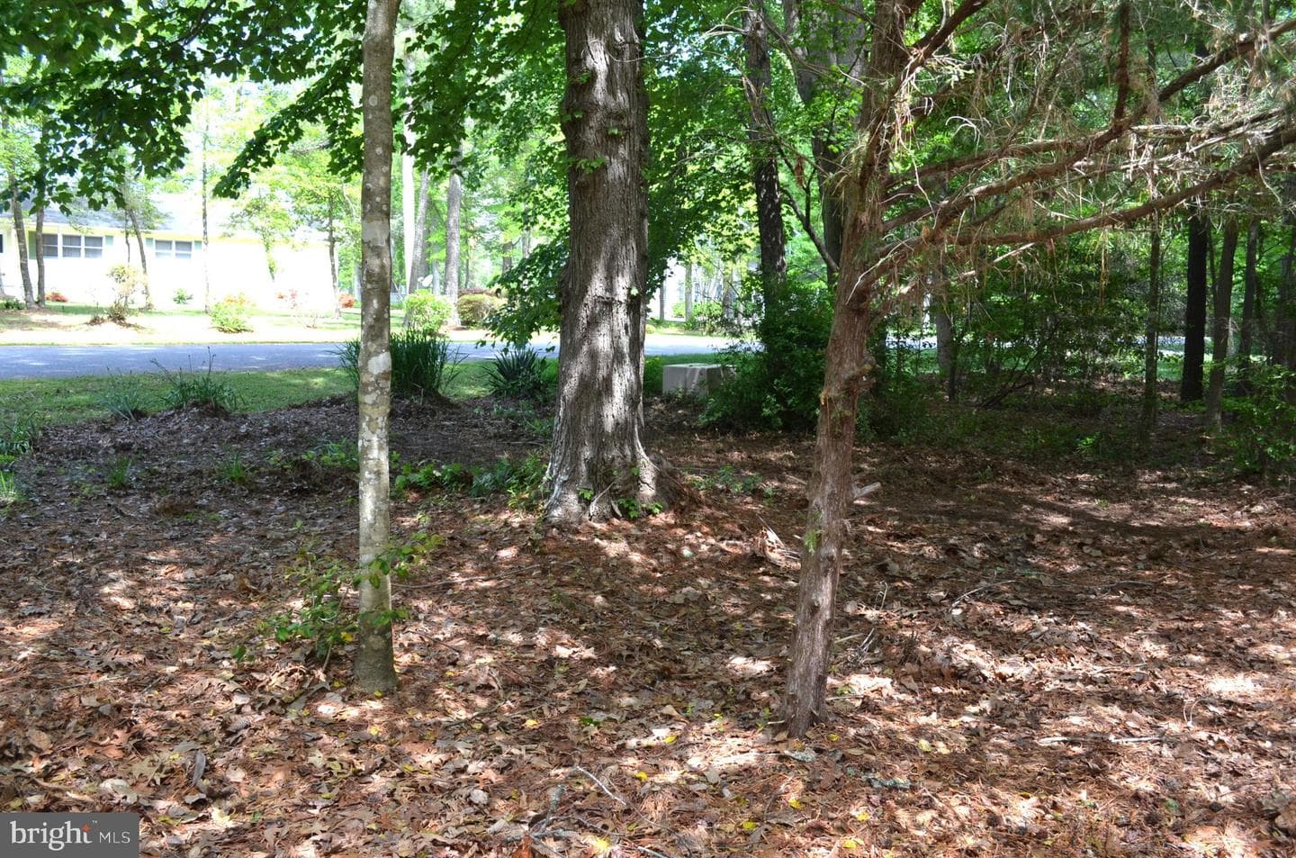 11501 Quillin Way photo 47