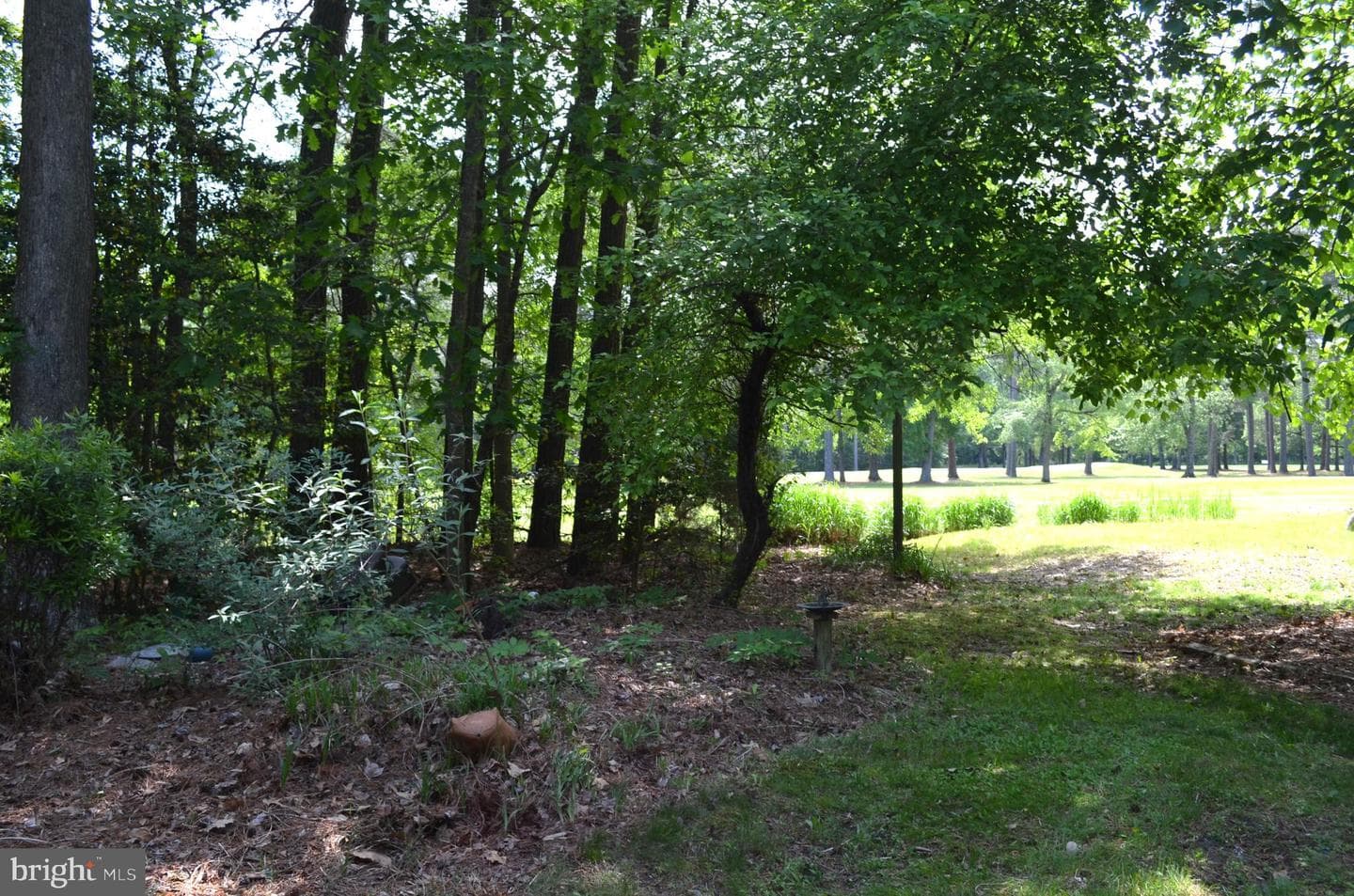 11501 Quillin Way photo 50