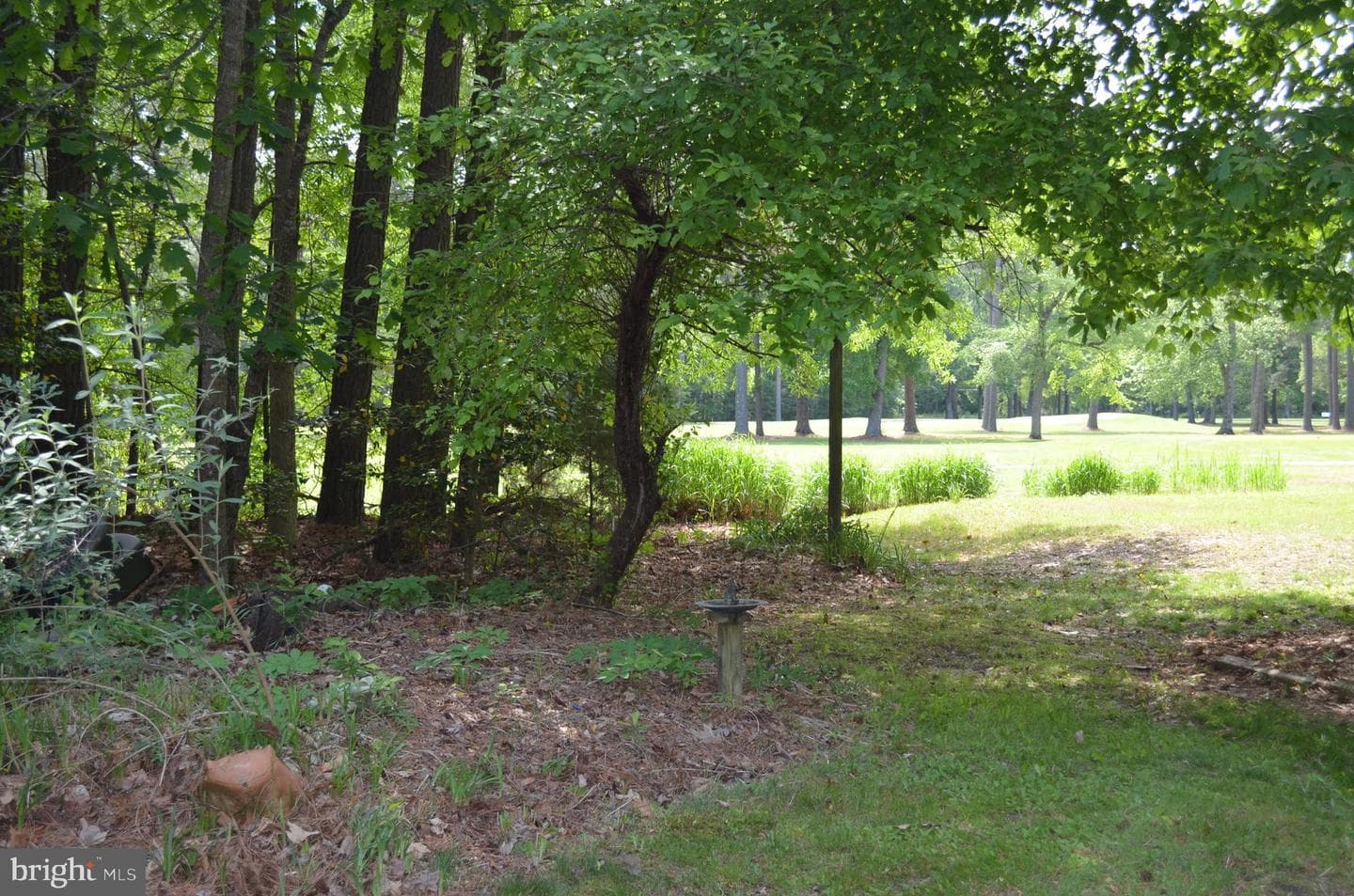 11501 Quillin Way photo 51