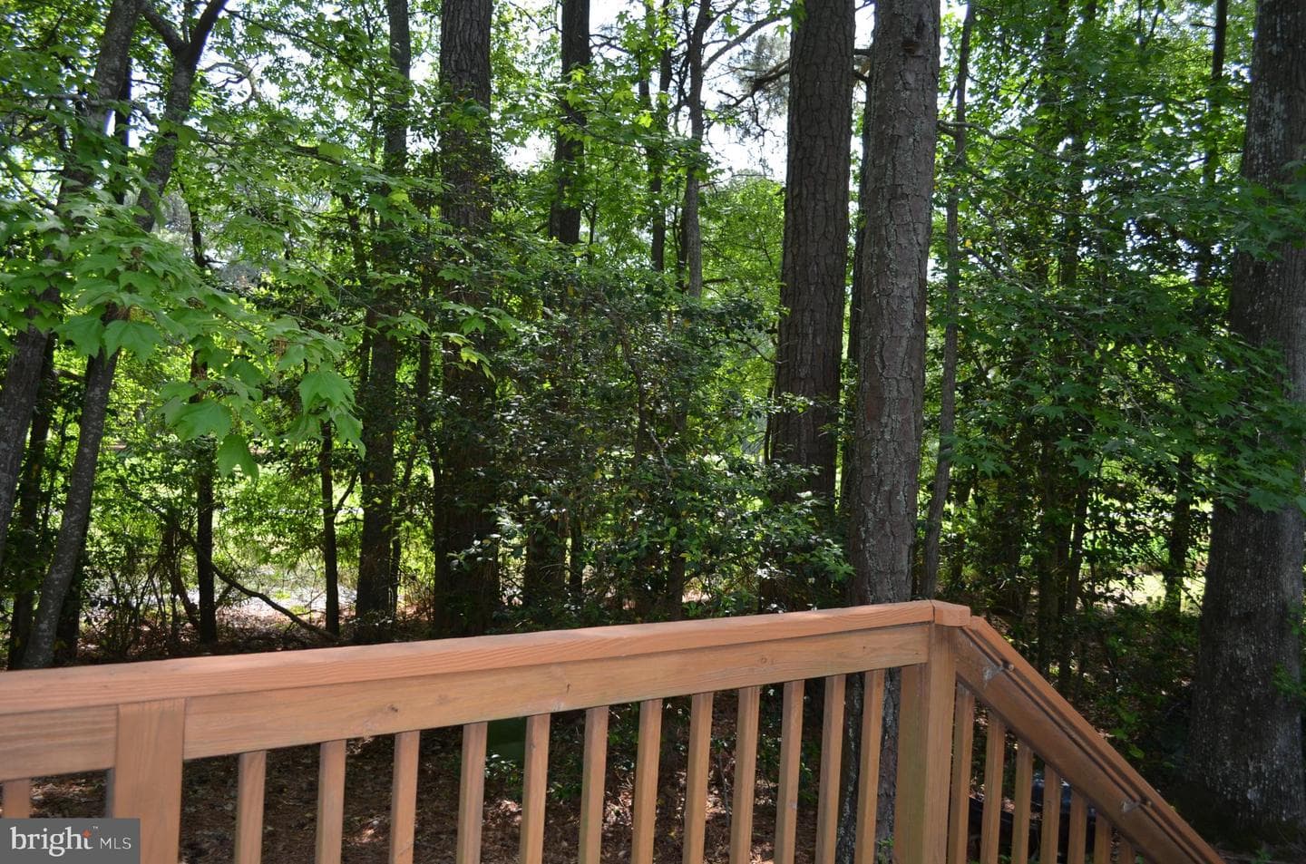 11501 Quillin Way photo 58