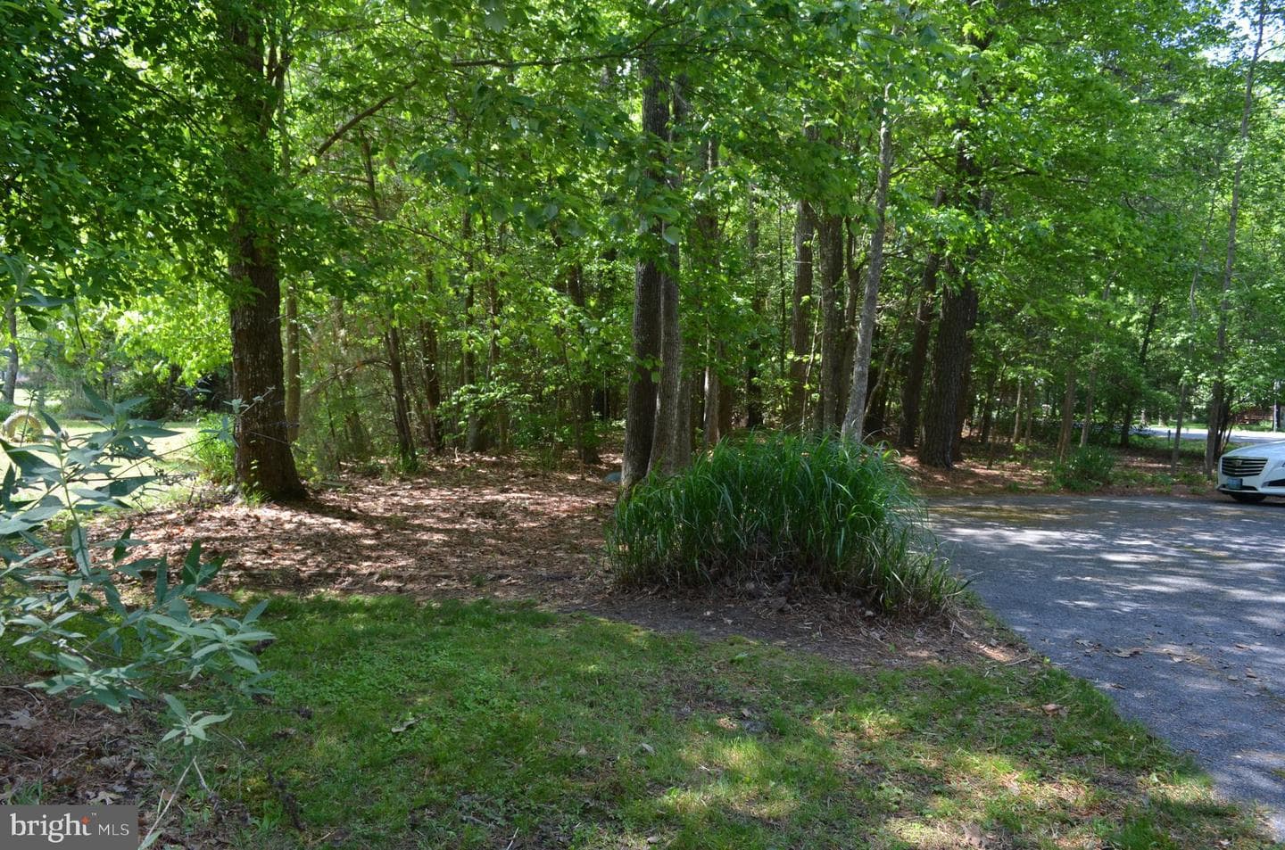 11501 Quillin Way photo 59