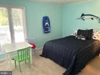 756 Ocean Parkway photo 27