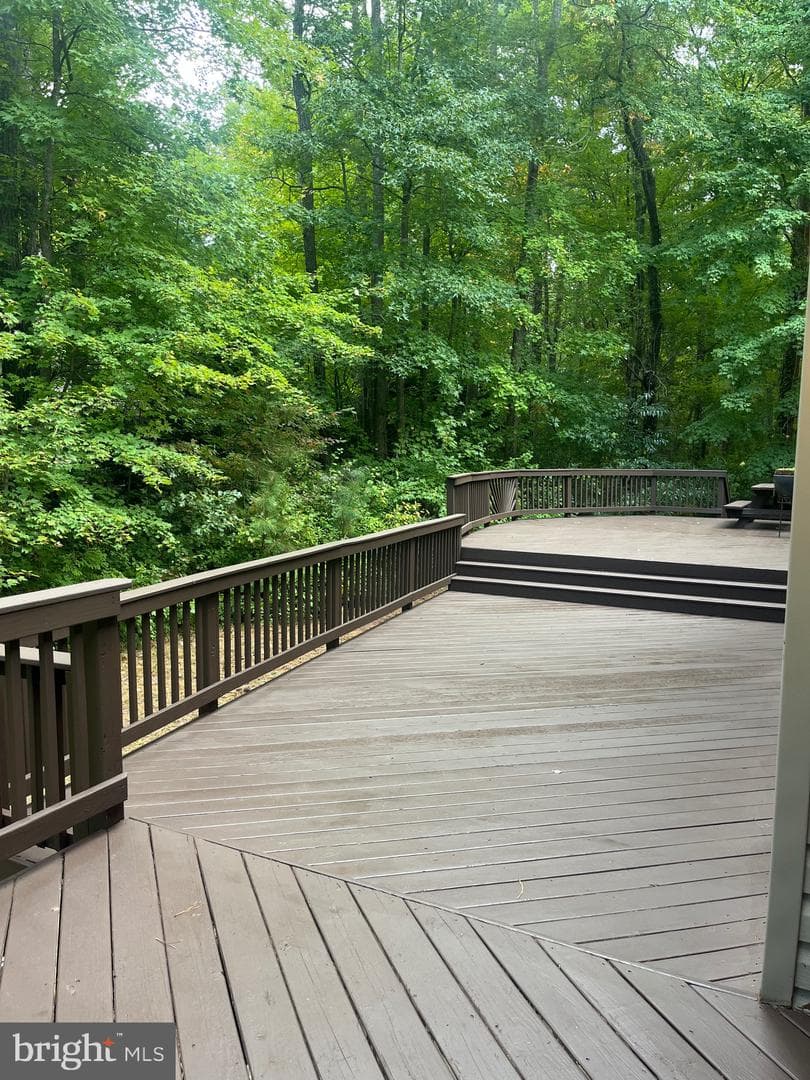 12548 Whispering Woods Drive photo 85
