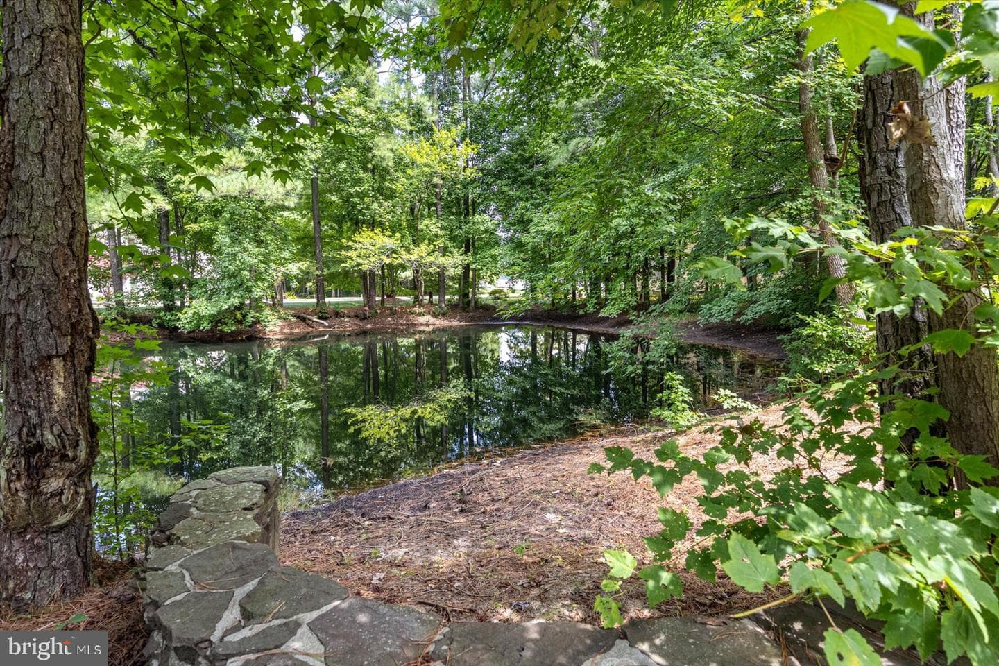 12548 Whispering Woods Drive photo 94