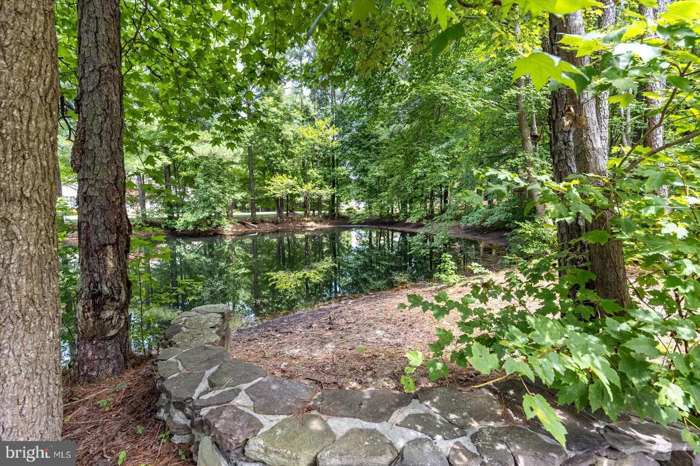 12548 Whispering Woods Drive photo 95