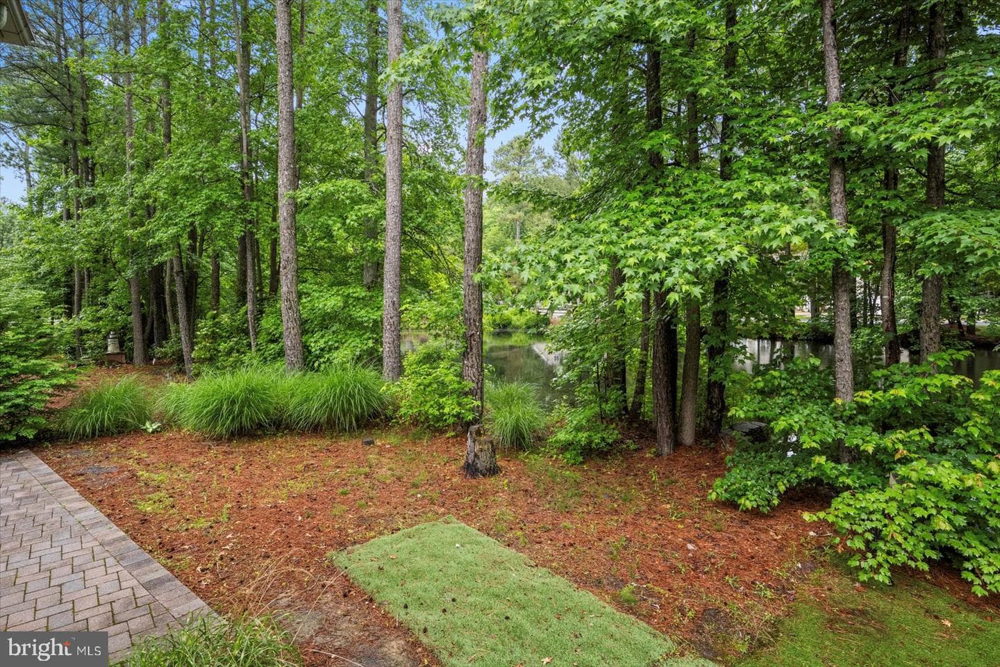 12548 Whispering Woods Drive photo 97