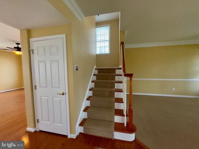 12410 Coastal Marsh Drive photo 28