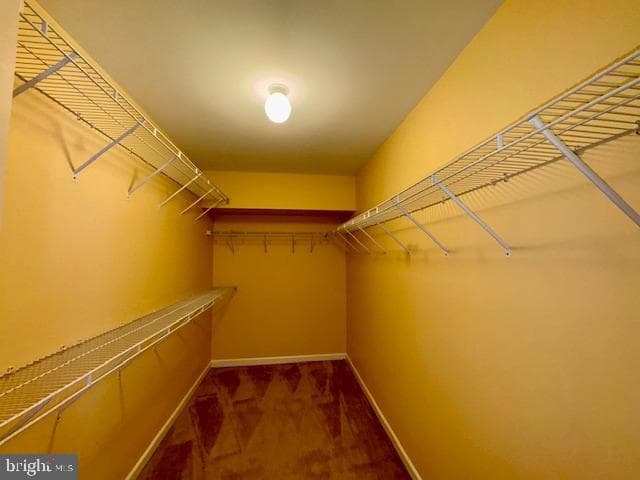 12410 Coastal Marsh Drive photo 37
