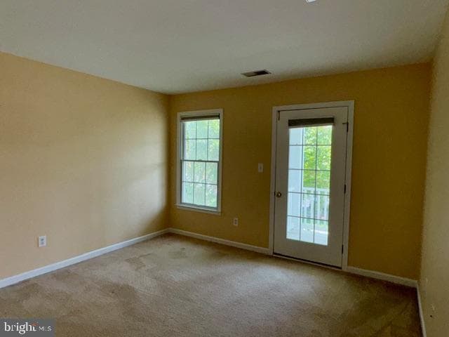 12410 Coastal Marsh Drive photo 43