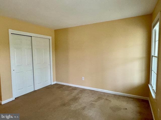 12410 Coastal Marsh Drive photo 44