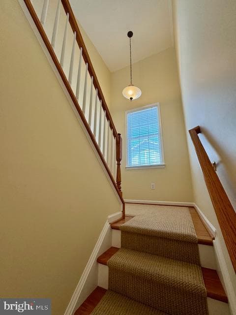 12410 Coastal Marsh Drive photo 49