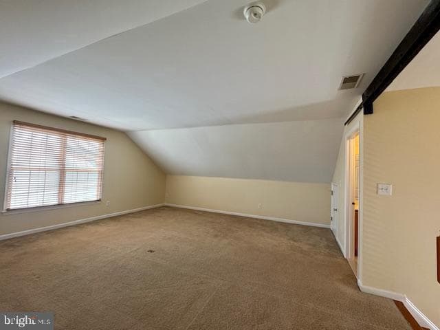 12410 Coastal Marsh Drive photo 51