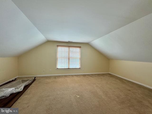 12410 Coastal Marsh Drive photo 53