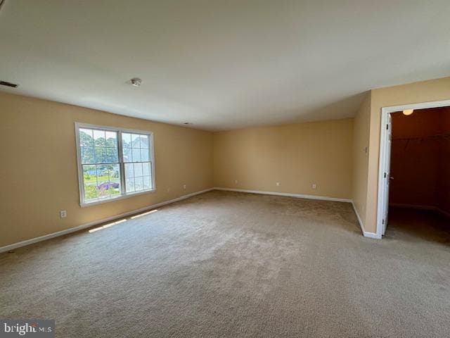 12410 Coastal Marsh Drive photo 61