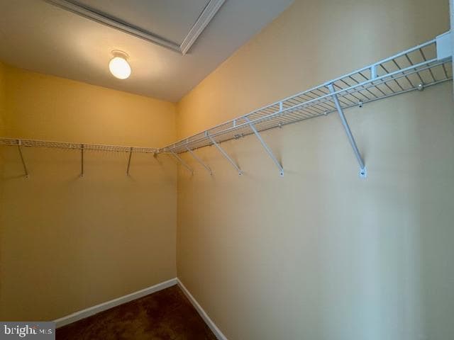 12410 Coastal Marsh Drive photo 64