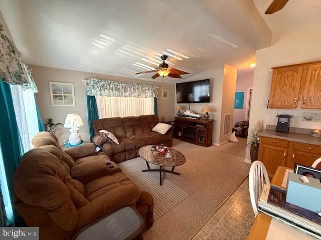 360 Timberline Circle photo 17