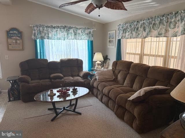 360 Timberline Circle photo 20