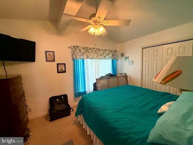 360 Timberline Circle photo 26