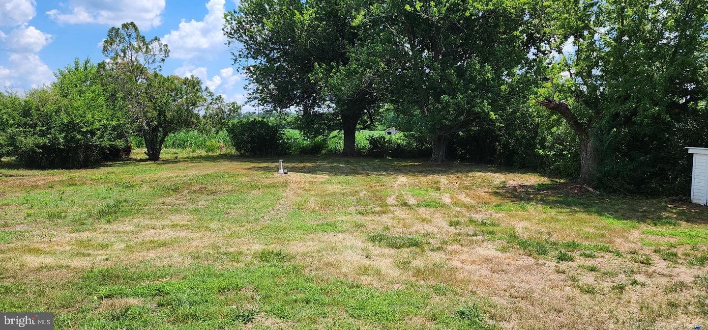 8432 Meadow Bridge photo 8