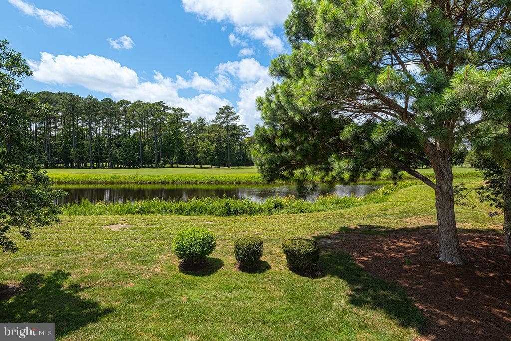 11845 Man O War Lane photo 46