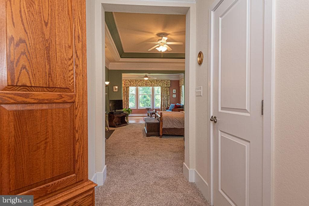 11845 Man O War Lane photo 63