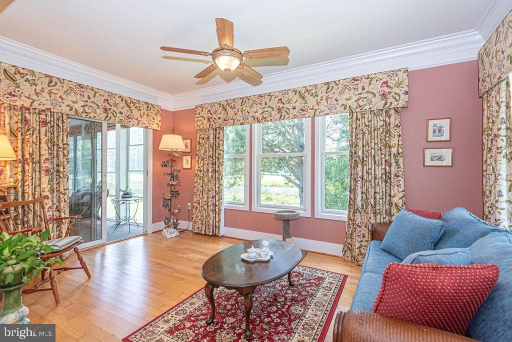 11845 Man O War Lane photo 67