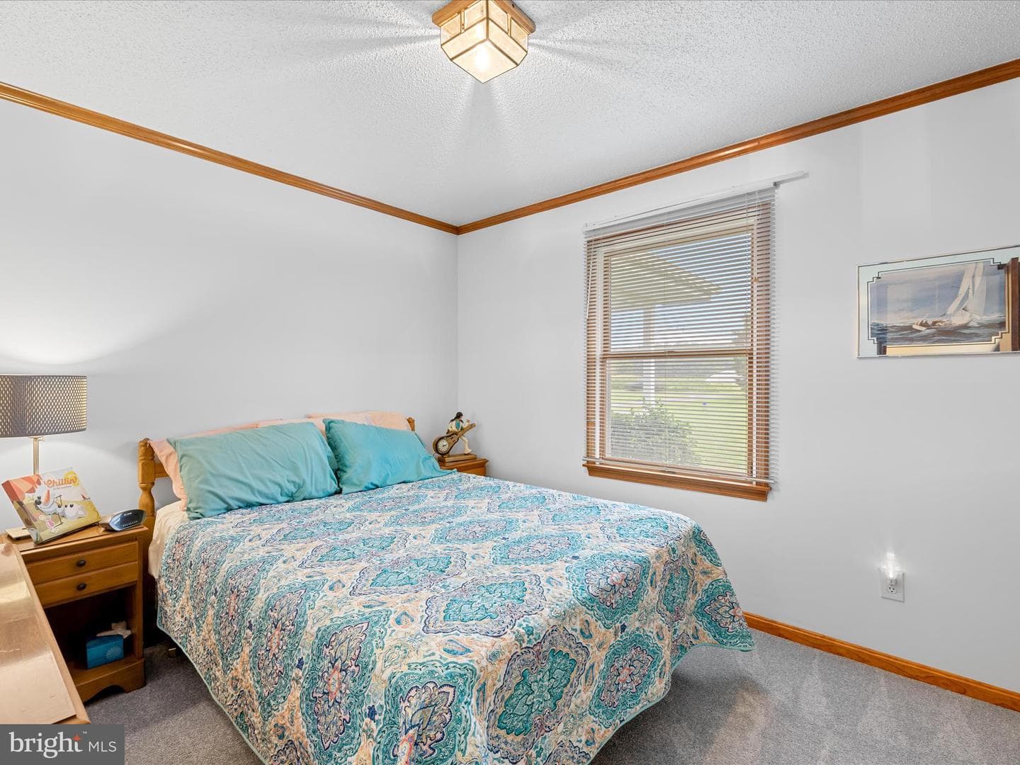 11125 St Martins Neck Road photo 13