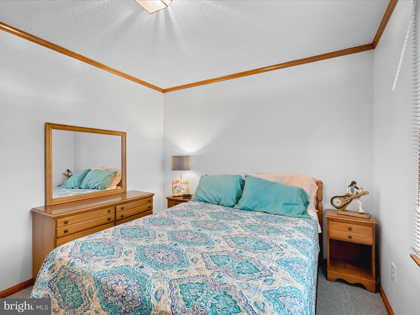 11125 St Martins Neck Road photo 14