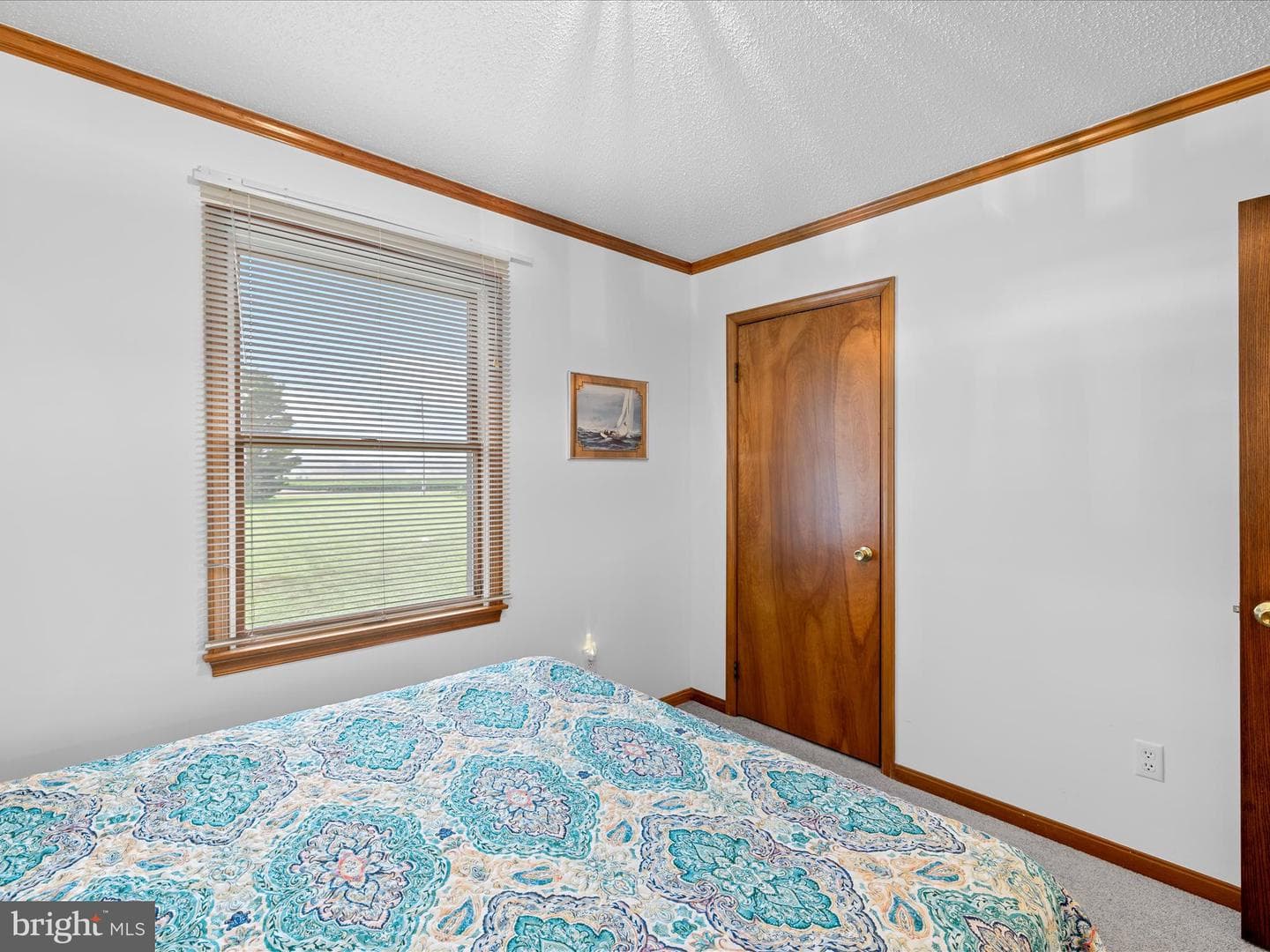 11125 St Martins Neck Road photo 15