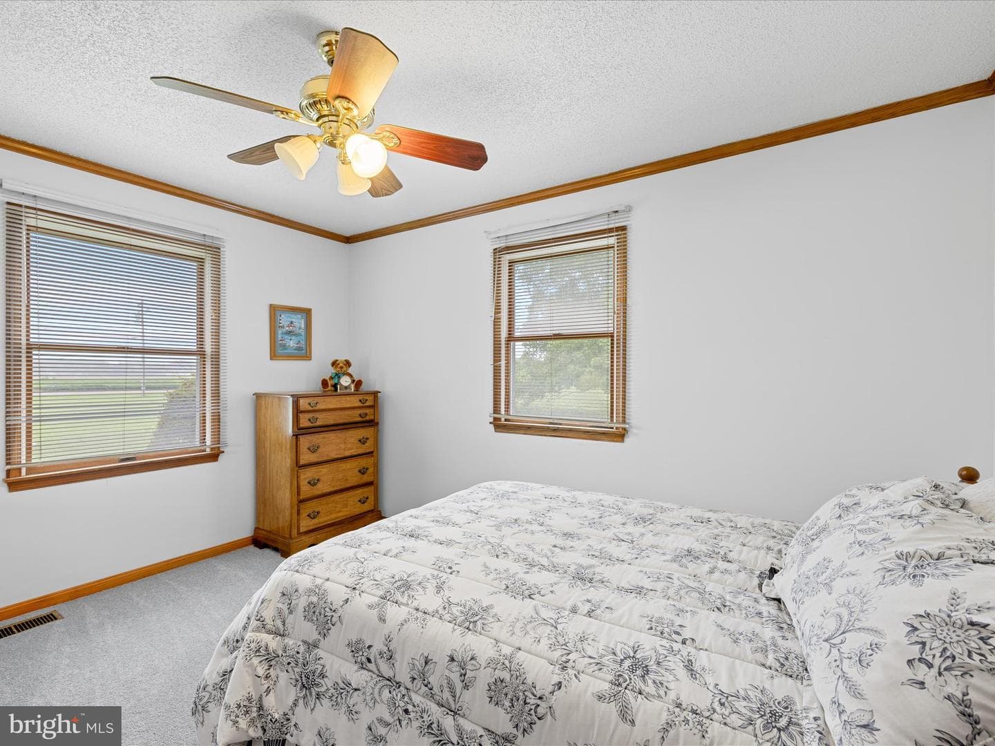 11125 St Martins Neck Road photo 16