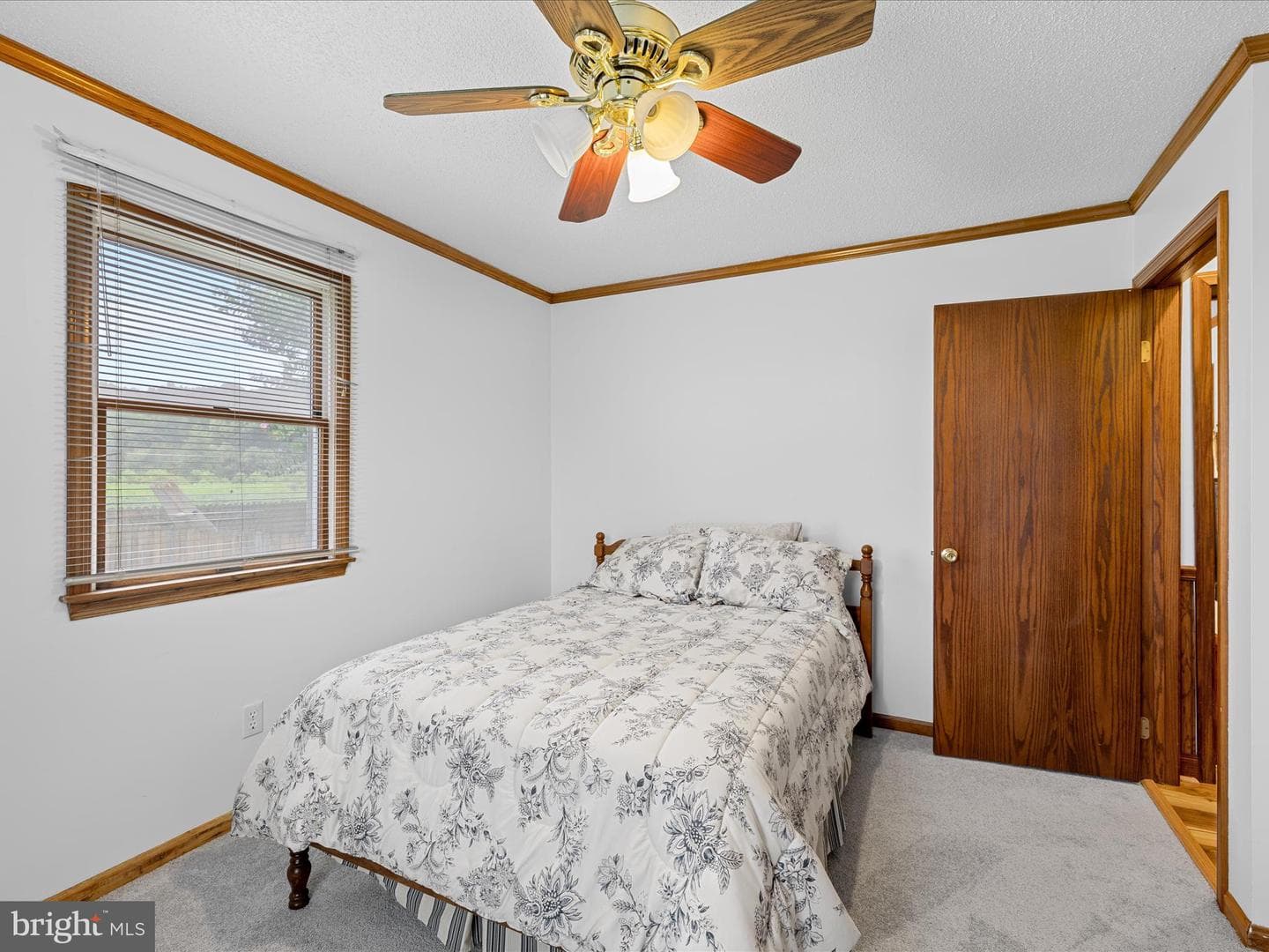 11125 St Martins Neck Road photo 17