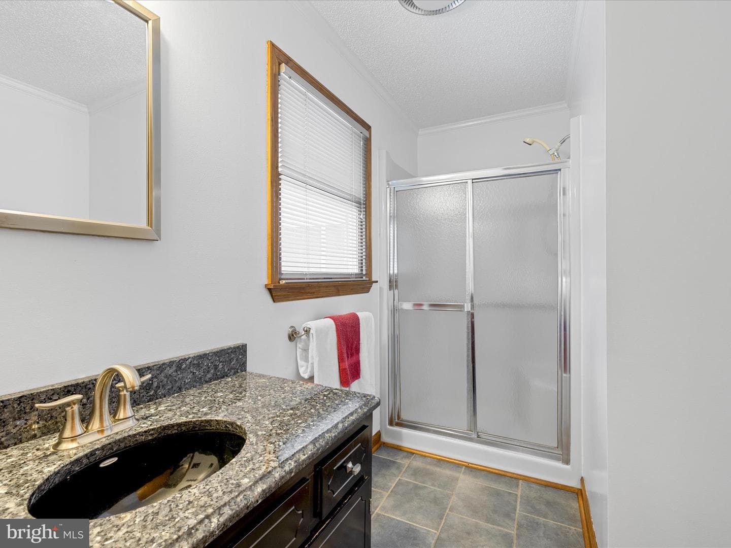11125 St Martins Neck Road photo 22