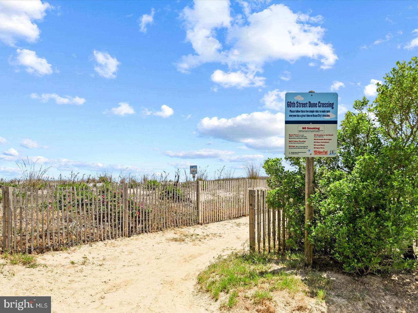 8 60th Street #101 photo 45