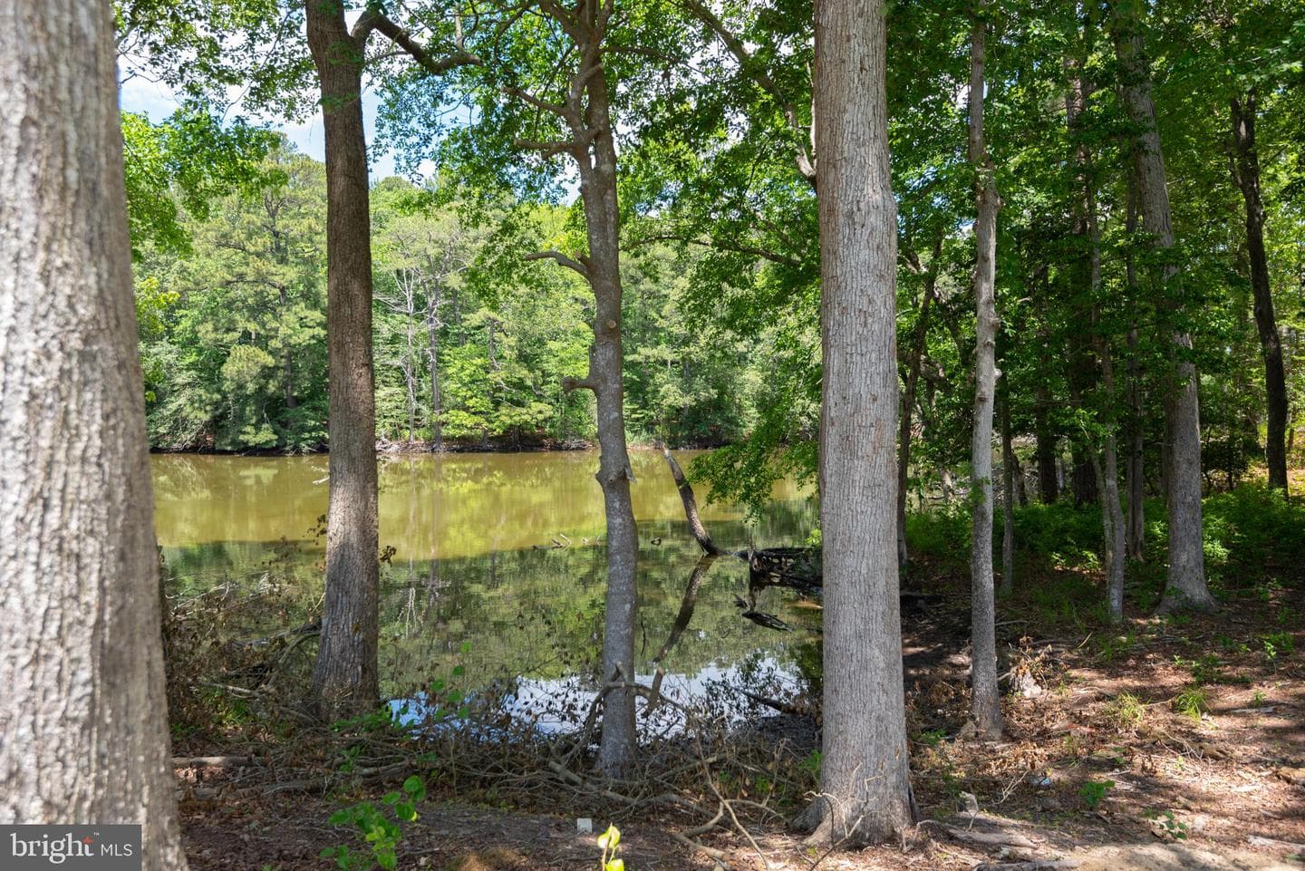 12021 River Run Lane #lot 179 photo 32