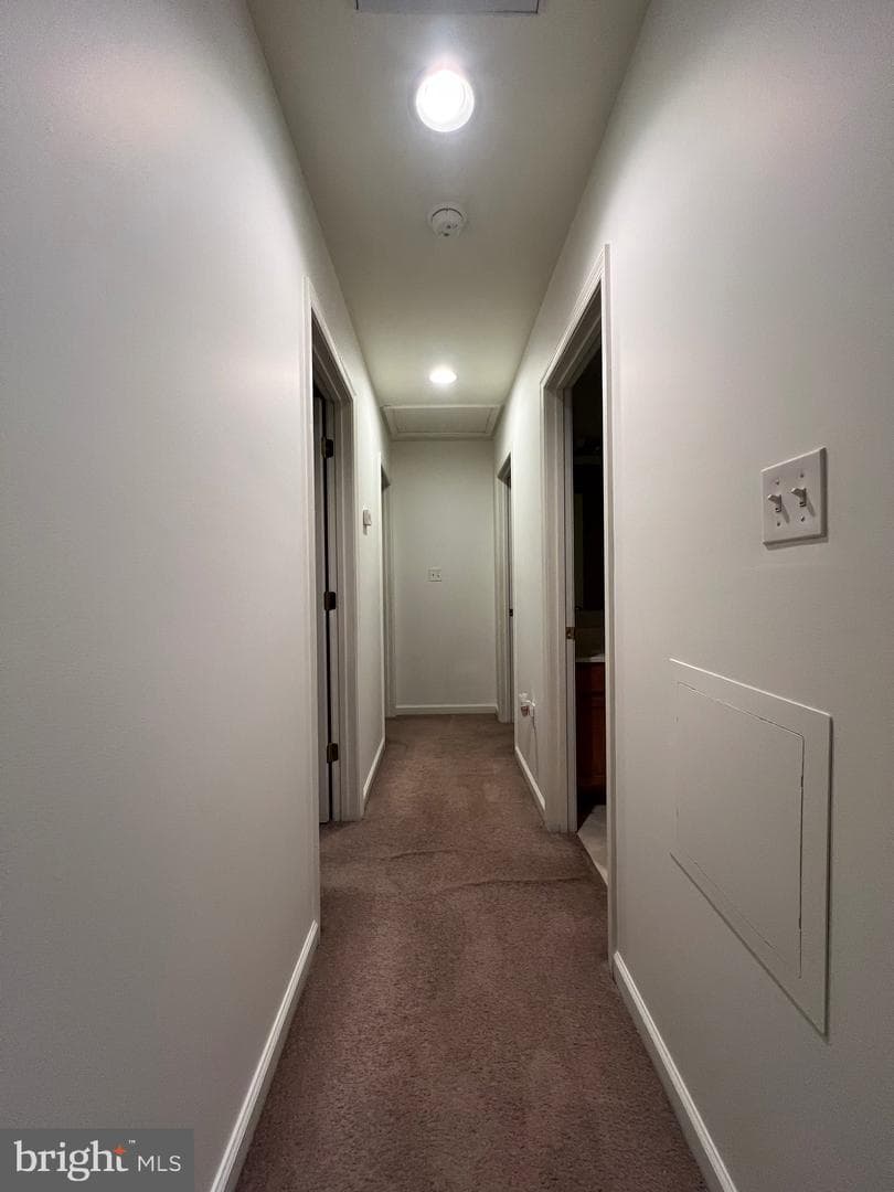 115 Purnell Street photo 16