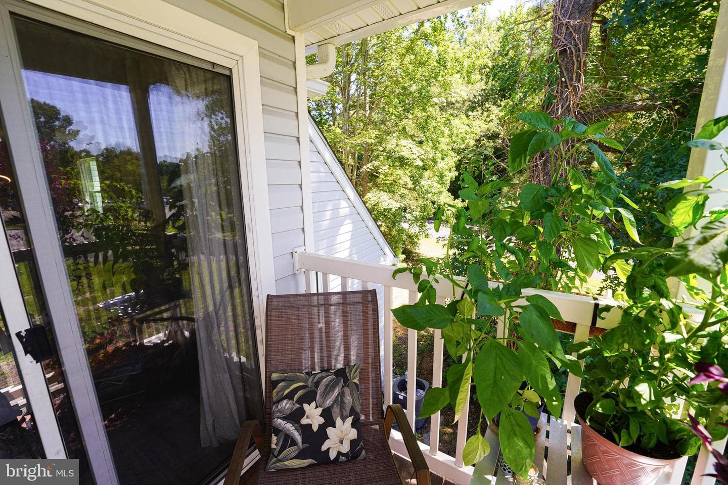 11421 Manklin Creek Road #4 photo 22