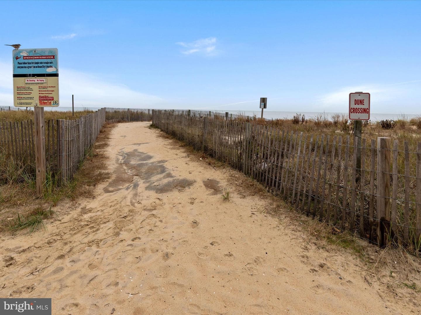 10300 Coastal Highway #505 photo 58