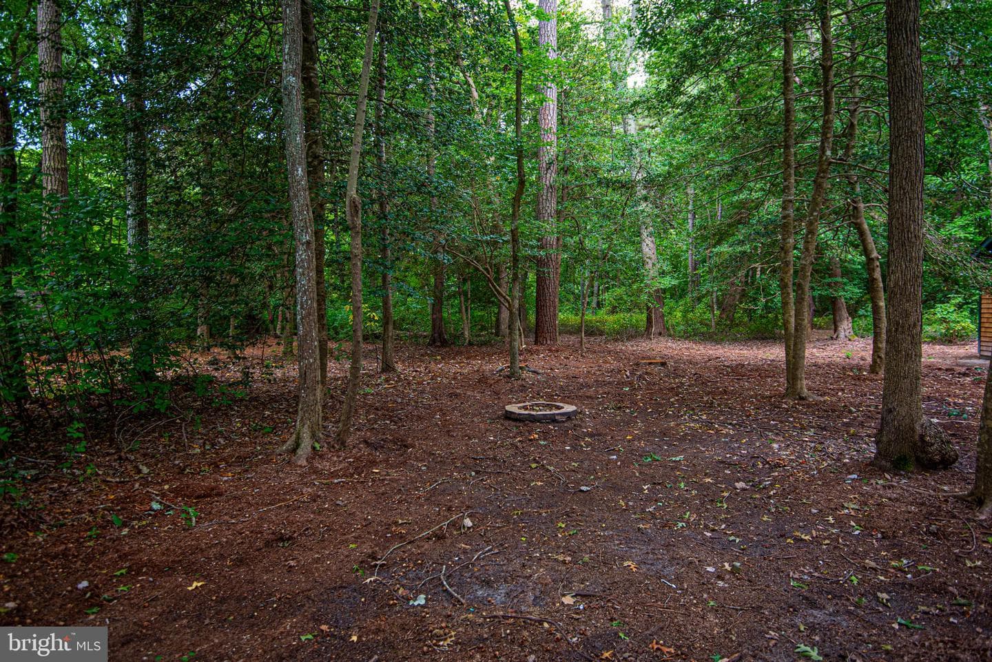 14 Hickory Way photo 28