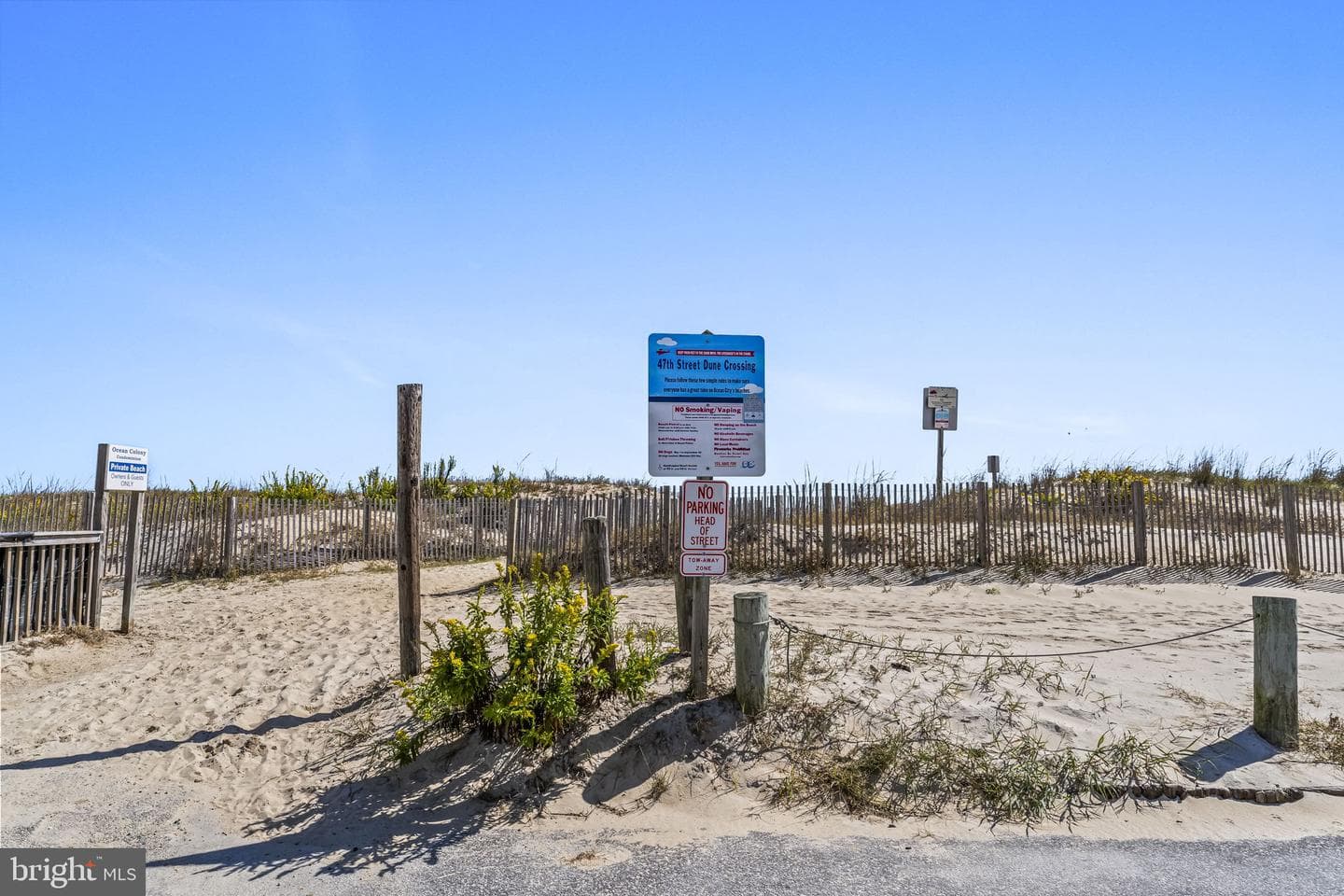 11 47th Street #202 photo 28