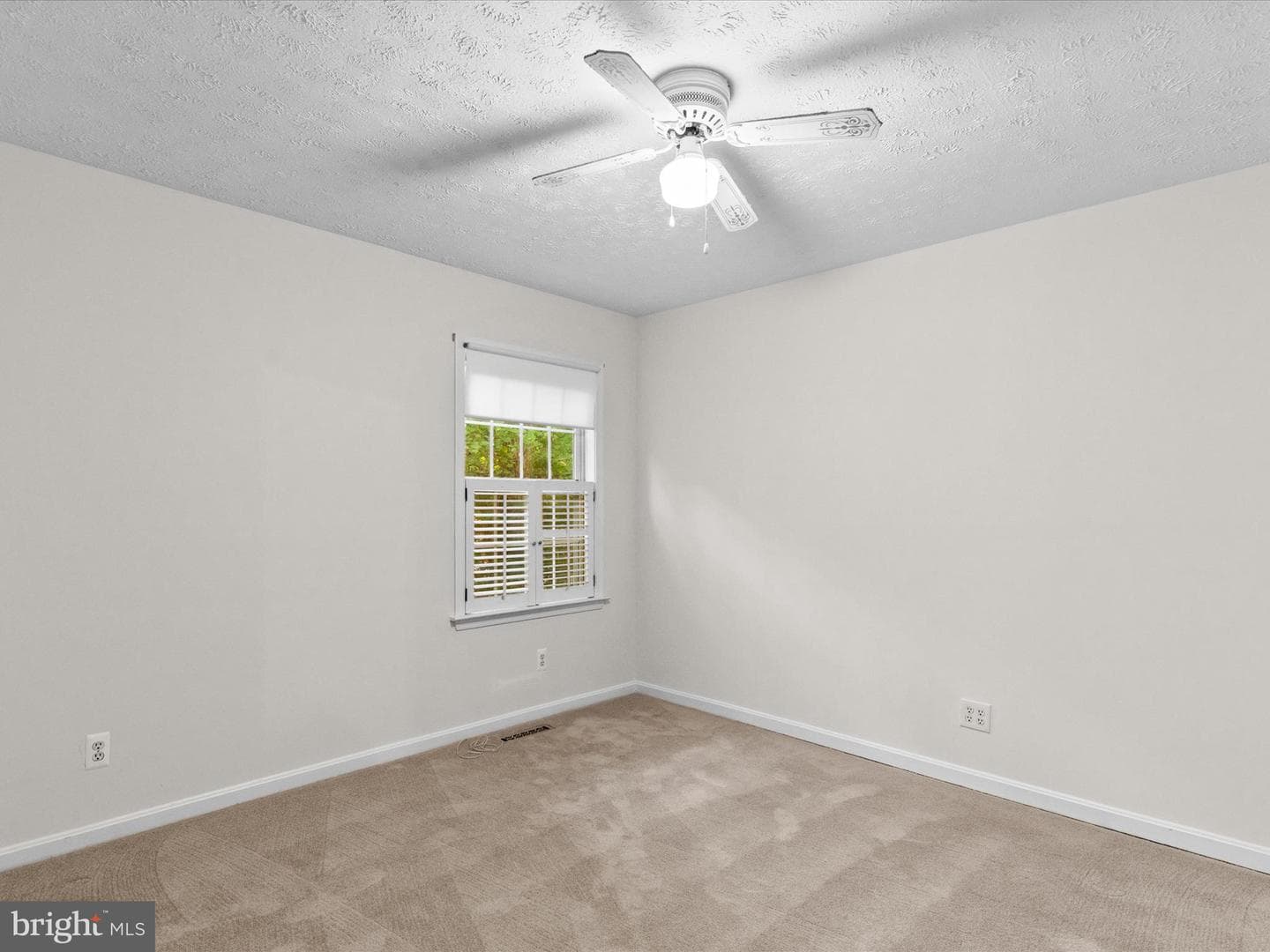 33 Pinehurst Road photo 21