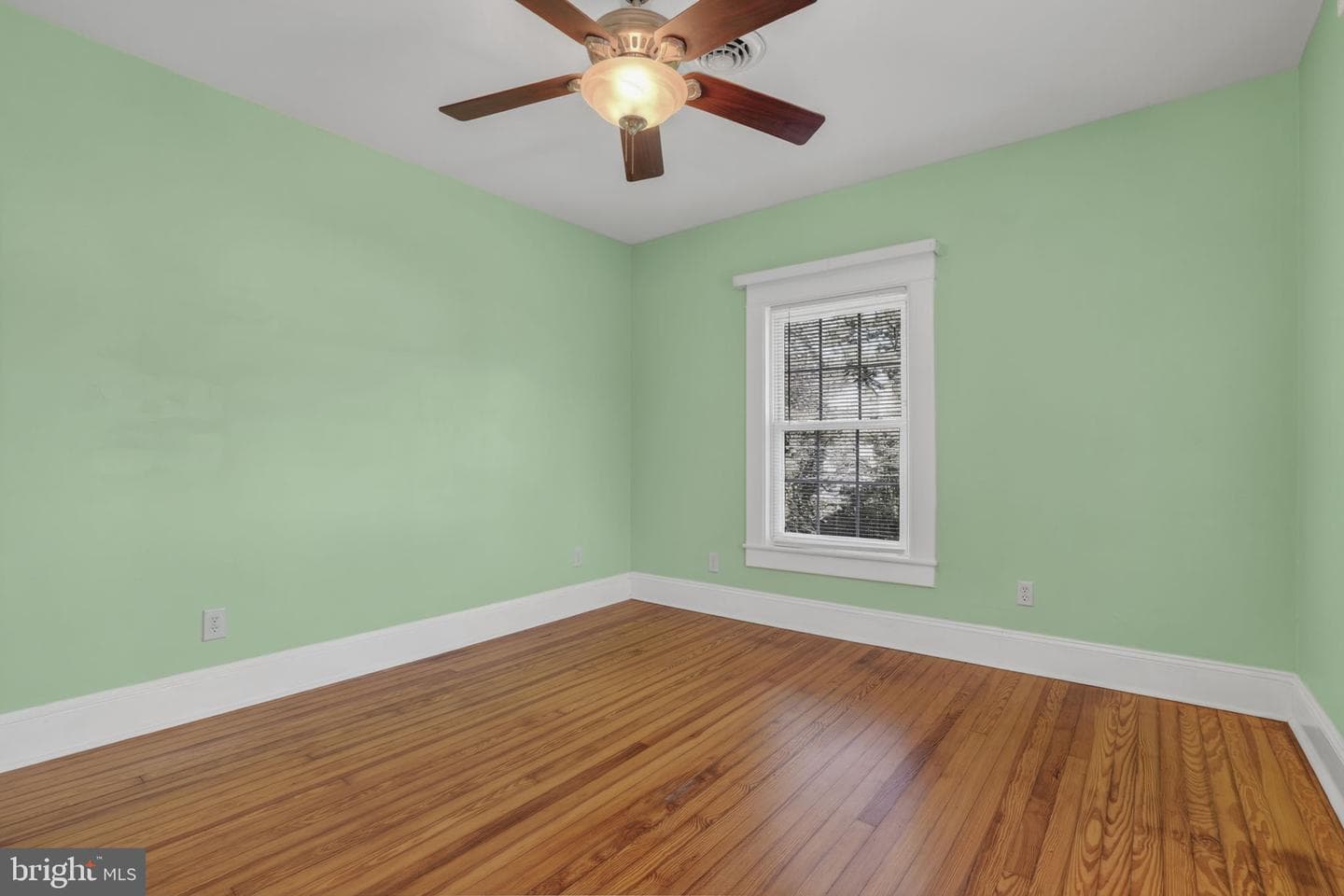 5 Clarke Avenue photo 19