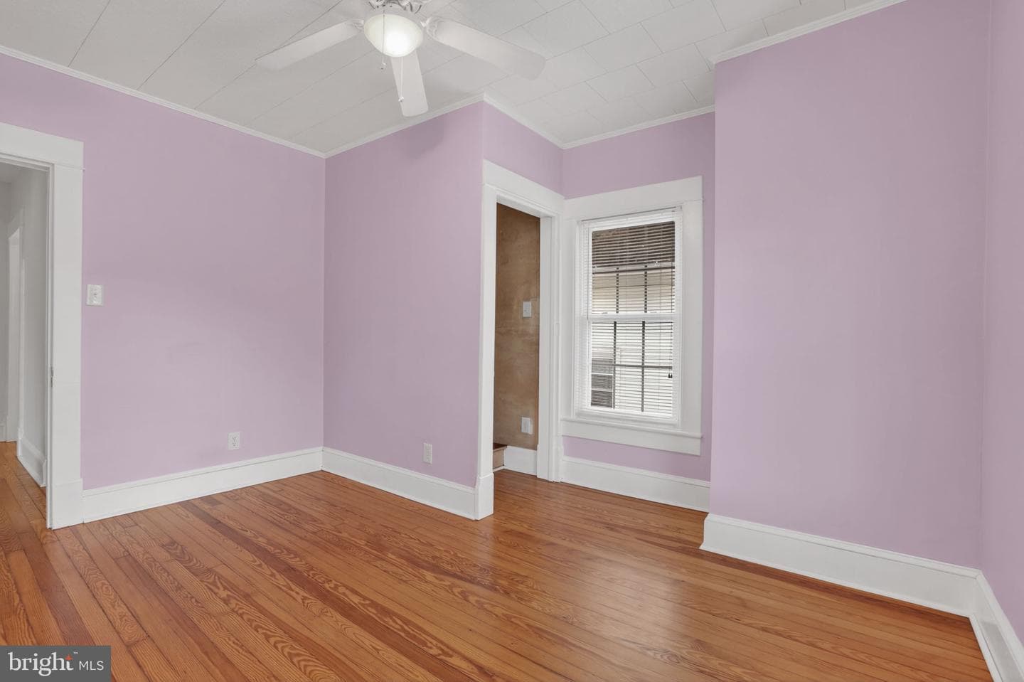 5 Clarke Avenue photo 25