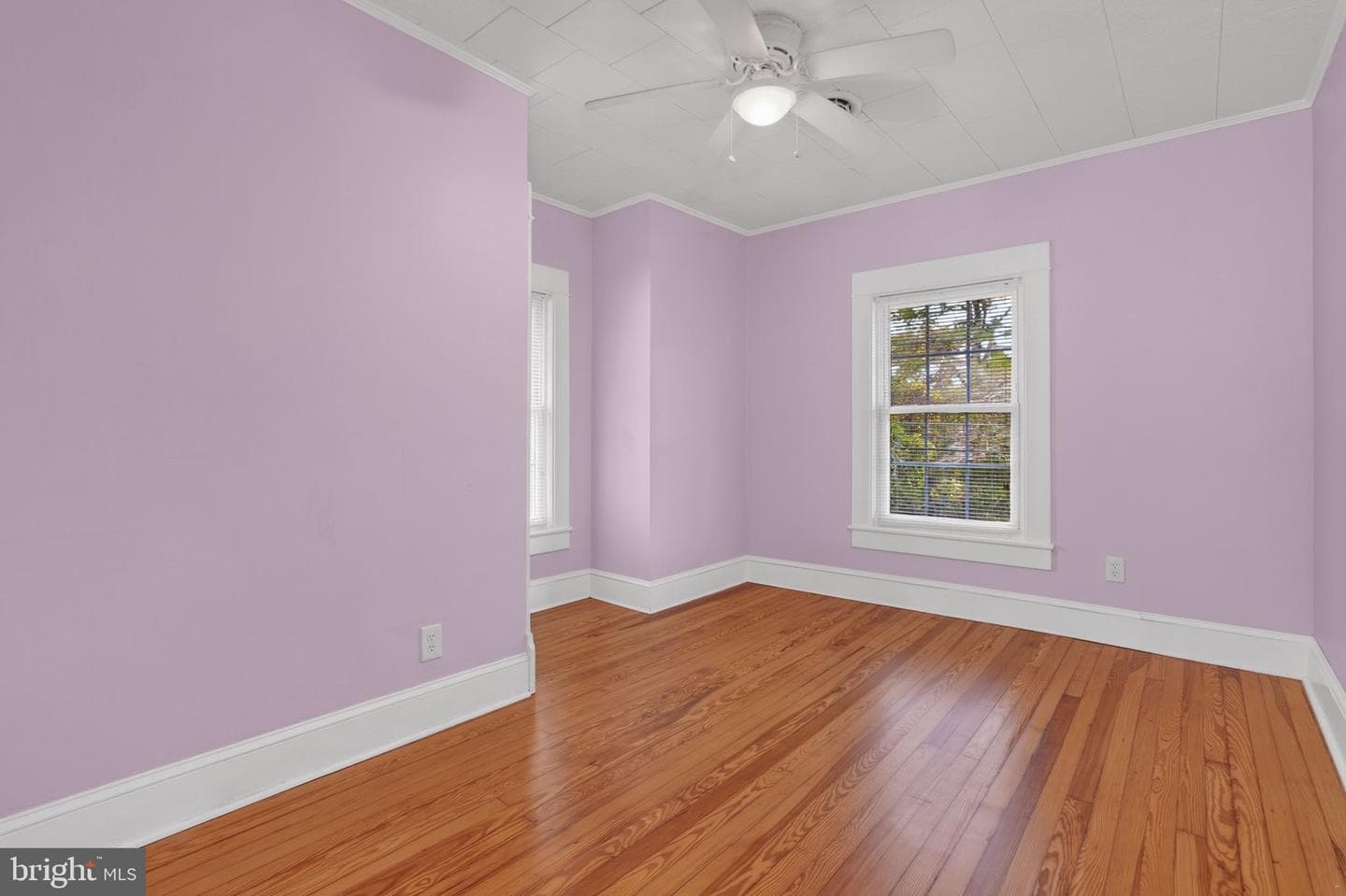 5 Clarke Avenue photo 26
